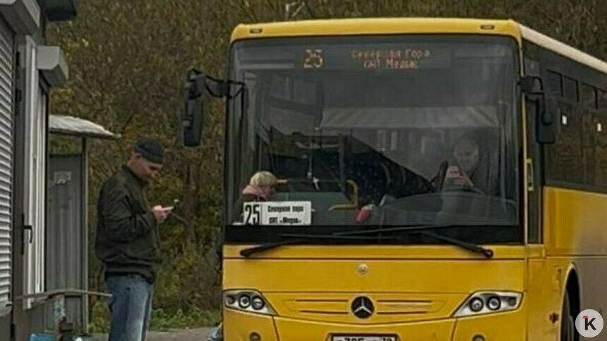 Калининградка заявила, что её 10-летнего сына грубо высадили из автобуса, перевозчик всё отрицает - Новости Калининграда | Фото читателя