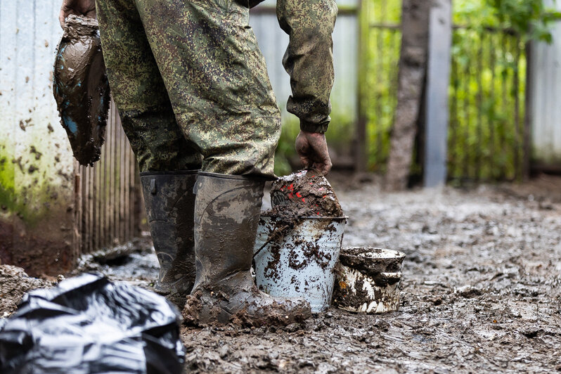 Студенты-иностранцы выучили слово «волонтёр» и помогли собакам из приюта в Талпаках (фоторепортаж)  - Новости Калининграда | Фото: Александр Подгорчук / «Клопс»