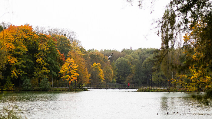 Тельцов сломит осенняя хандра, а Скорпионы свернут горы: гороскоп на короткую рабочую неделю с 5 по 7 ноября   - Новости Калининграда | Фото: Александр Подгорчук / Архив «Клопс»