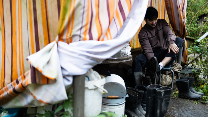 Студенты-иностранцы выучили слово «волонтёр» и помогли собакам из приюта в Талпаках (фоторепортаж)  - Новости Калининграда | Фото: Александр Подгорчук / «Клопс»