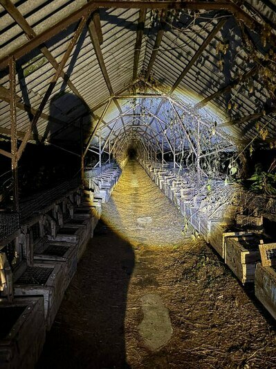 Найти пропавшую в Кострово старушку помог след от тапочек   - Новости Калининграда | Фото: «Клопс»