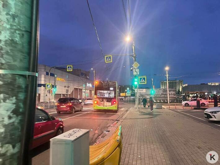 В Калининграде устроили юбилейный рейс троллейбуса, но кататься пришлось в битком набитом душном салоне (фото) - Новости Калининграда | Фото: «Клопс»