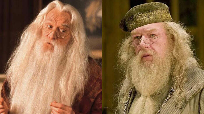 Ричард Харрис / Майкл Гэмбон | Кадр из фильмов «Гарри Поттер и Тайная комната» и Гарри Поттер и Кубок огня»