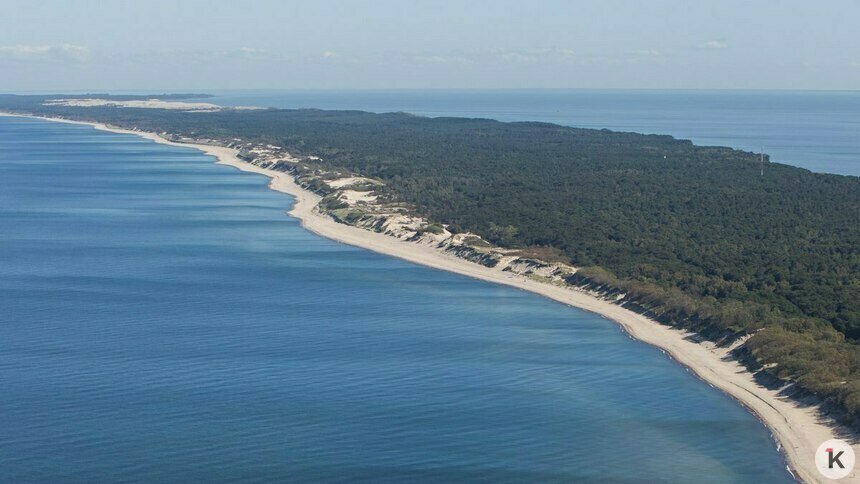 Гостиница в Рыбачьем на Куршской косе может создать дыру в глобальной экосистеме — орнитологи   - Новости Калининграда | Фото: архив «Клопс»