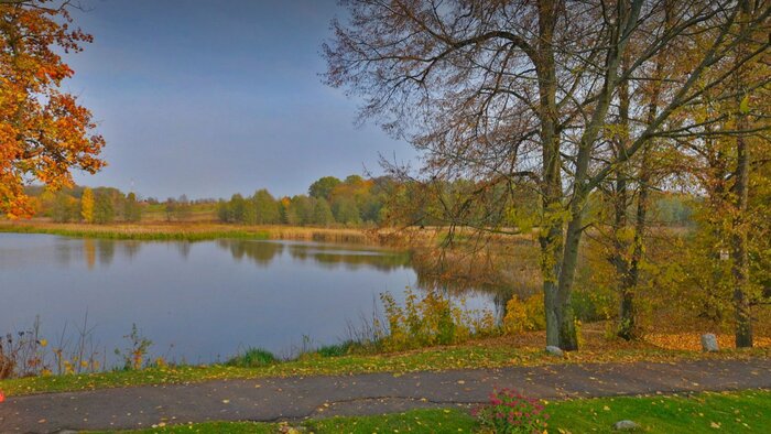 В Железнодорожном определились, как очистить пруд и не повредить многочисленные памятники - Новости Калининграда | Скриншот сервиса  «Яндекс Карты»