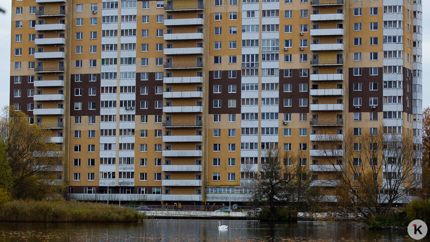 Погода в Калининграде и области в четверг - Новости Калининграда | Фото: Александр Подгорчук / «Клопс»