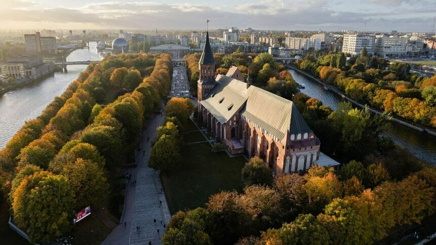 Первое амбровое дерево и 400 крокусов: остров Канта зовёт на субботник 8 ноября - Новости Калининграда