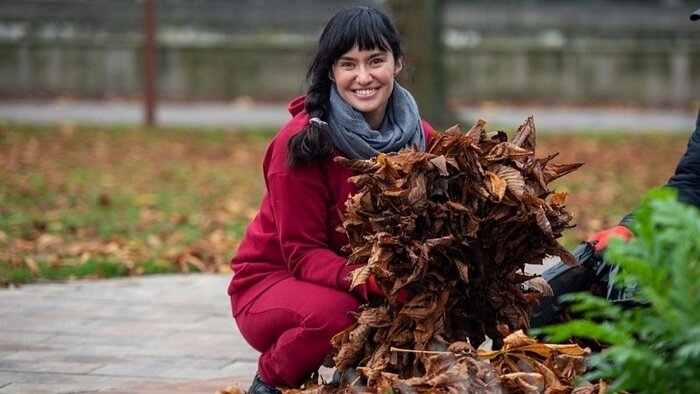 Первое амбровое дерево и 400 крокусов: остров Канта зовёт на субботник 8 ноября - Новости Калининграда