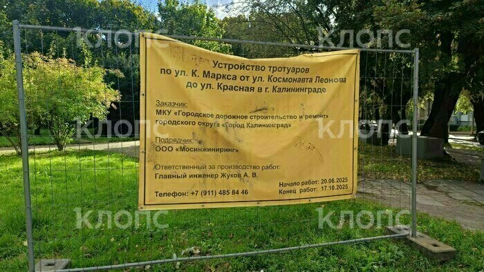 В Калининграде из-за ремонта тротуара дорожники устроили баррикады на оживлённом переходе (видео)  - Новости Калининграда | Фото: очевидец