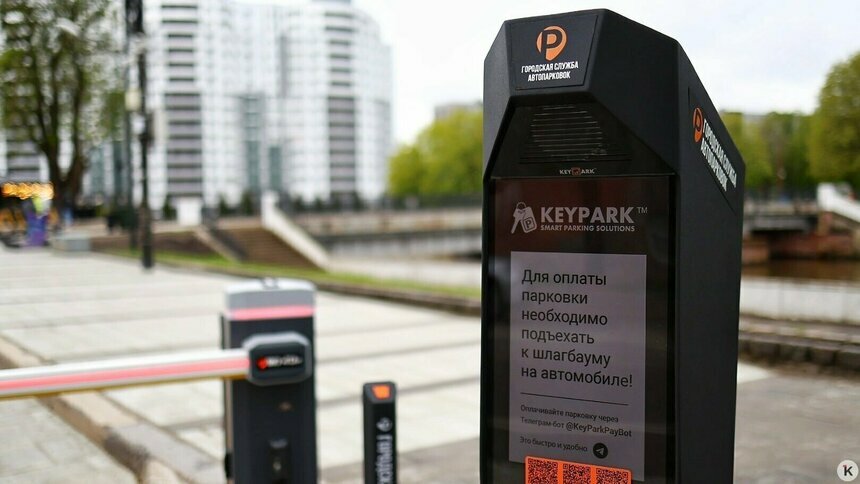 В Калининграде треть льготников получили отказы на бесплатные парковки - Новости Калининграда | Фото: Александр Подгорчук / Архив «Клопс»