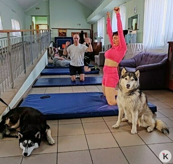 «Она так всем доверяла»: калининградка пытается найти виновных в гибели собаки — помощника канистерапевта   - Новости Калининграда | Фото: архив героини материала