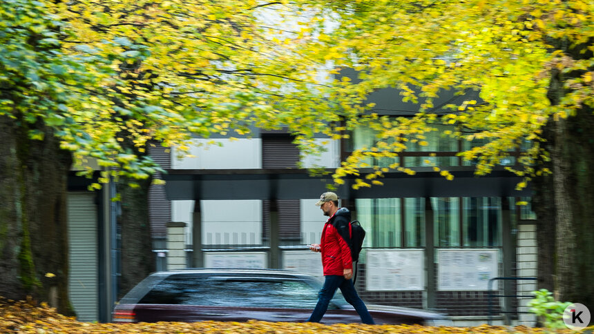 Погода в Калининграде и области в пятницу - Новости Калининграда | Фото: Александр Подгорчук / «Клопс»