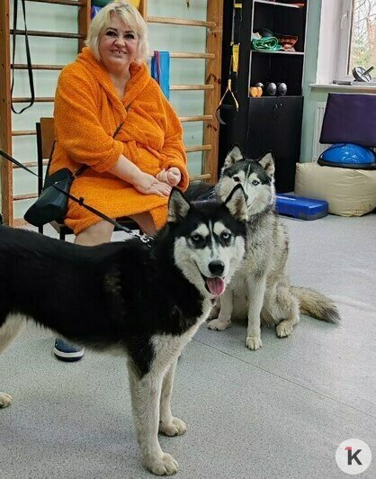 «Она так всем доверяла»: калининградка пытается найти виновных в гибели собаки — помощника канистерапевта   - Новости Калининграда | Фото: архив героини материала