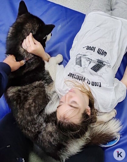 «Она так всем доверяла»: калининградка пытается найти виновных в гибели собаки — помощника канистерапевта   - Новости Калининграда | Фото: архив героини материала