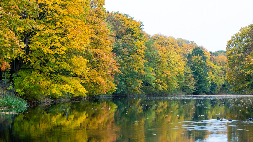 Тихий ноябрь: четверг в Калининграде будет без дождя, ветра и с кусочком солнца - Новости Калининграда | Фото: Александр Подгорчук / Архив «Клопс»