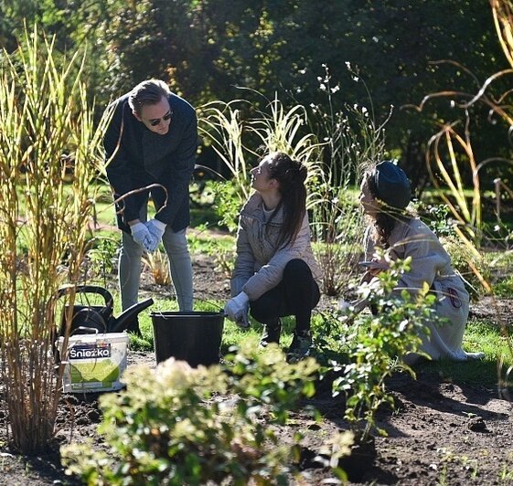 Первое амбровое дерево и 400 крокусов: остров Канта зовёт на субботник 8 ноября - Новости Калининграда