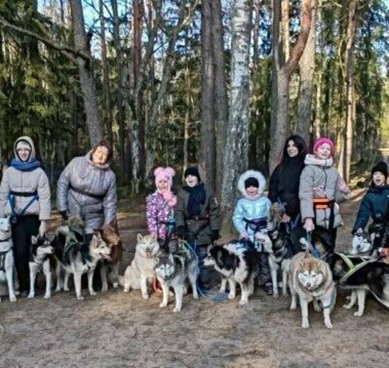 «Она так всем доверяла»: калининградка пытается найти виновных в гибели собаки — помощника канистерапевта   - Новости Калининграда | Фото: архив героини материала