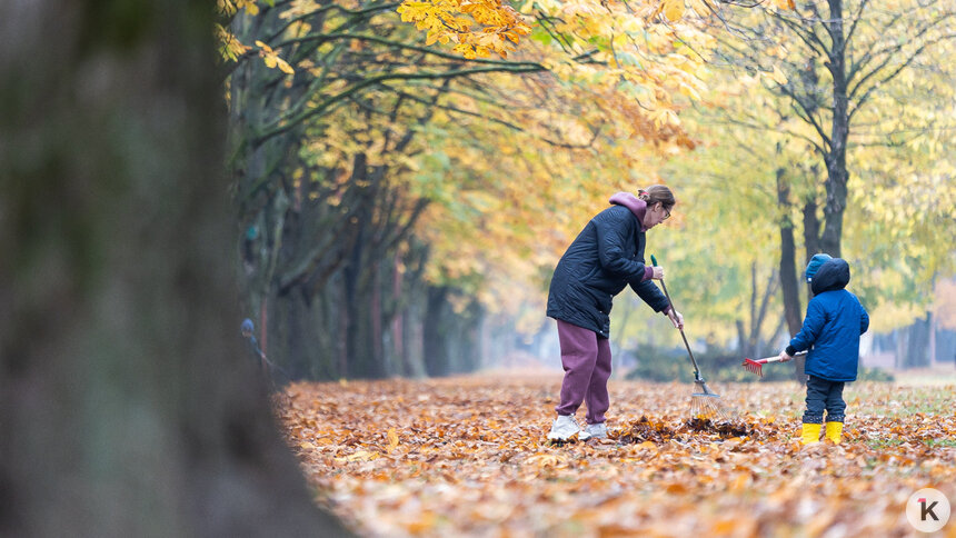 Синоптики рассказали, какая погода будет в Калининграде и области в воскресенье, 9 ноября   - Новости Калининграда | Фото: Александр Подгорчук / Архив «Клопс»