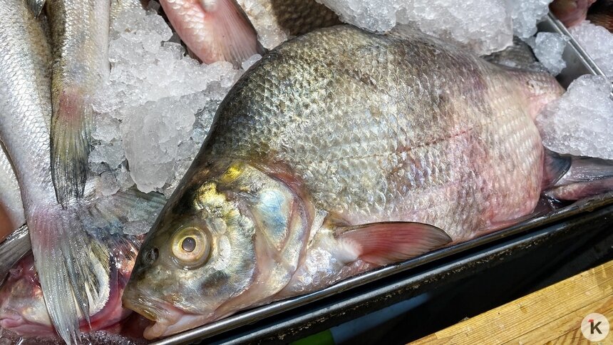 Власти объяснили, кого винить из-за высоких цен на рыбу в Калининграде   - Новости Калининграда | Фото: Александр Подгорчук / Архив «Клопс»