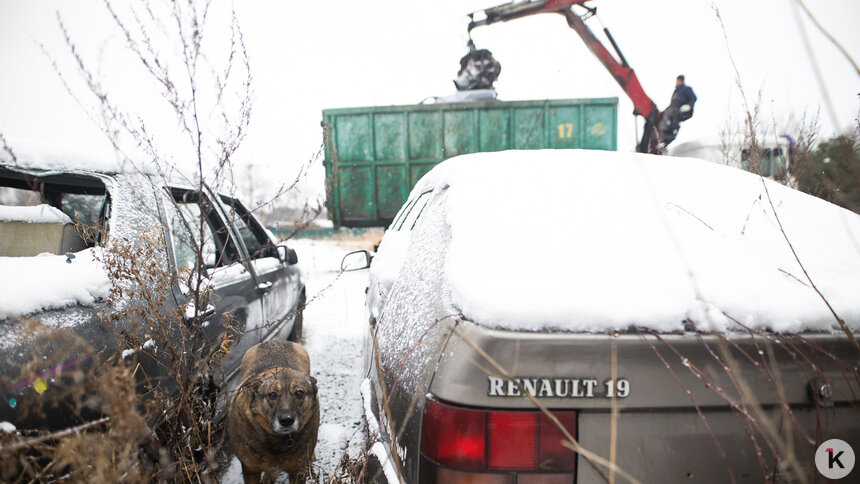 Эксперт рассказал, какой популярной в России марке автомобилей грозит забвение   - Новости Калининграда | Фото: Александр Подгорчук / Архив «Клопс»