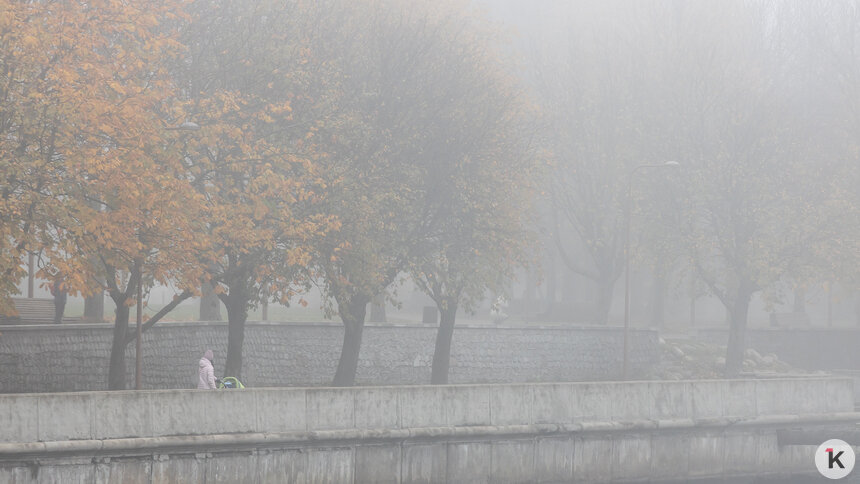 МЧС предупредило о сильном тумане в Калининградской области  - Новости Калининграда | Фото: Александр Подгорчук / Архив «Клопс»
