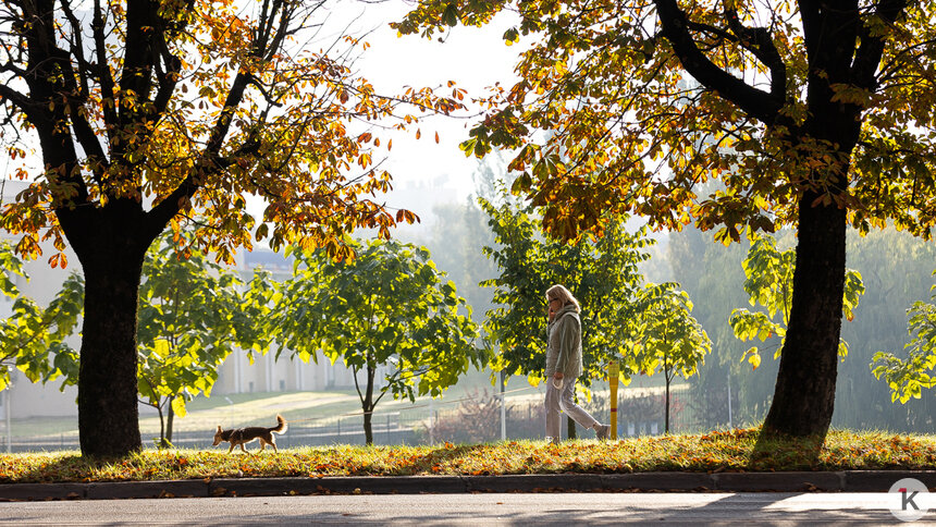 Солнечно и сухо: погода в Калининградской области в субботу, 8 ноября   - Новости Калининграда | Фото: Александр Подгорчук / Архив «Клопс»