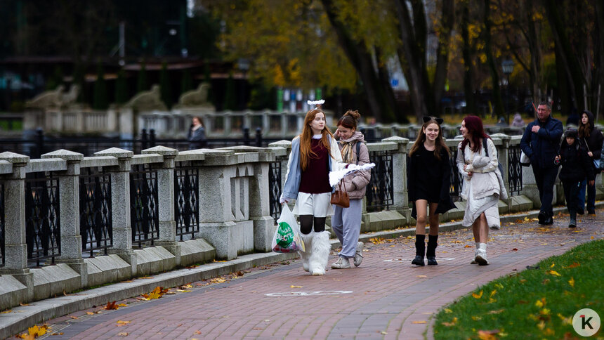 Синоптики рассказали, будет ли дождь в Калининграде и области в понедельник, 10 ноября  - Новости Калининграда | Фото: Александр Подгорчук / Архив «Клопс»