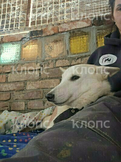 Животным необходима адаптация | Фото: Предоставила Екатерина Ублинская 