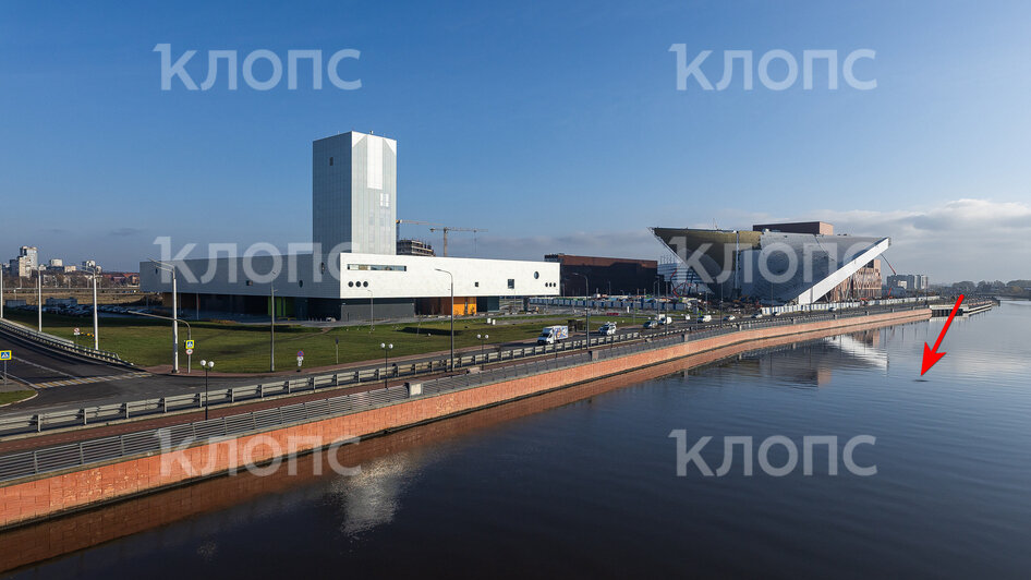 В Преголе у Третьяковской галереи пускает из воды фонтанчики неизвестное существо (фото)   - Новости Калининграда | Фото: Александр Подгорчук / «Клопс»