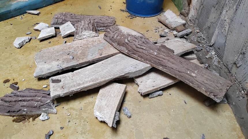 Орангутан Антон из Калининградского зоопарка собезьянничал и сделал из своего вольера модный лофт (видео) - Новости Калининграда | фото: Калининградский зоопарк