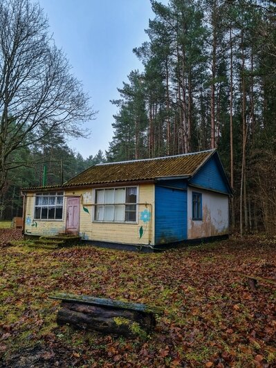 Экскурсовод показал заброшенную турбазу на берегу Виштынца, чей хозяин не пережил 90-е (фото)  - Новости Калининграда | Фото: Женяй Огонь
