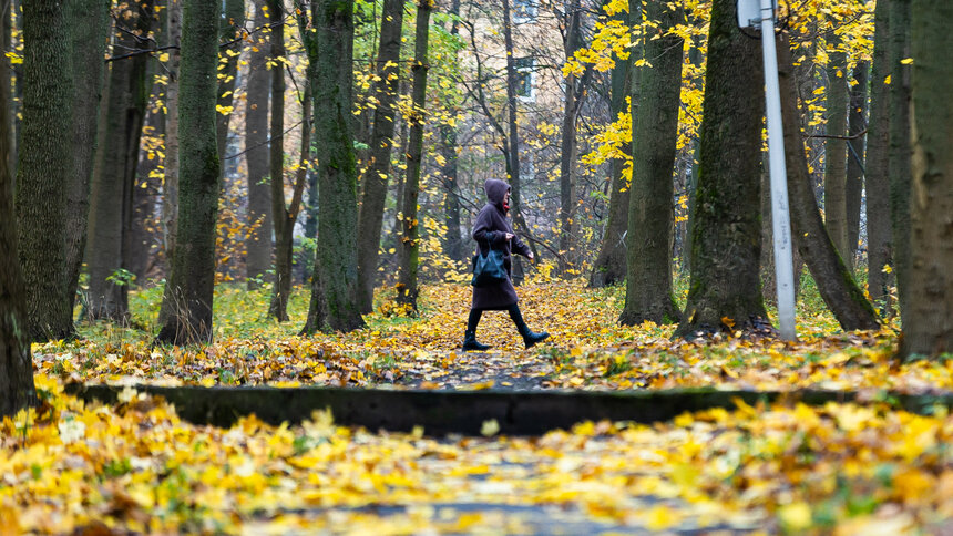 В Калининградской области 14 ноября зарядят дожди - Новости Калининграда | Фото: Александр Подгорчук / «Клопс»