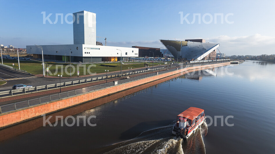 В Преголе у Третьяковской галереи пускает из воды фонтанчики неизвестное существо (фото)   - Новости Калининграда | Фото: Александр Подгорчук / «Клопс»