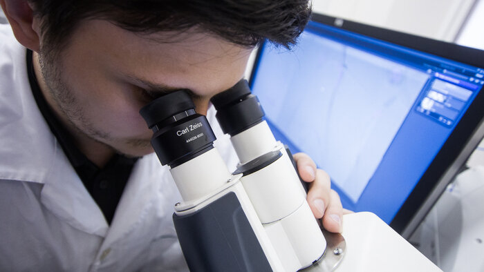 Наука, моржи и козочки: 6 бесплатных мероприятий уикенда в Калининграде и области - Новости Калининграда | Фото: архив «Клопс»