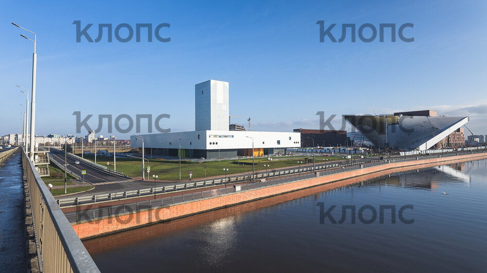 В Преголе у Третьяковской галереи пускает из воды фонтанчики неизвестное существо (фото)   - Новости Калининграда | Фото: Александр Подгорчук / «Клопс»