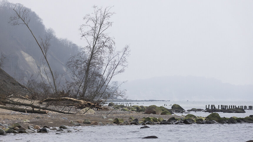В Филинской бухте в море впадает зловонная речка (видео)   - Новости Калининграда | Фото: Александр Подгорчук / Архив «Клопс»