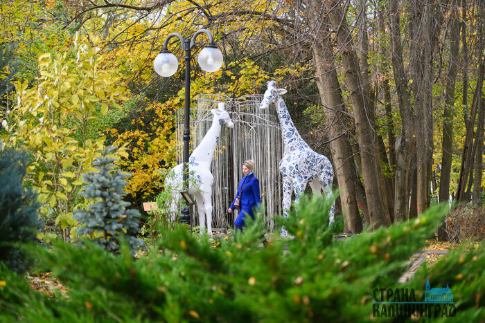 Янтарный. Повседневность в кадре | Фото: Александр Мелехов