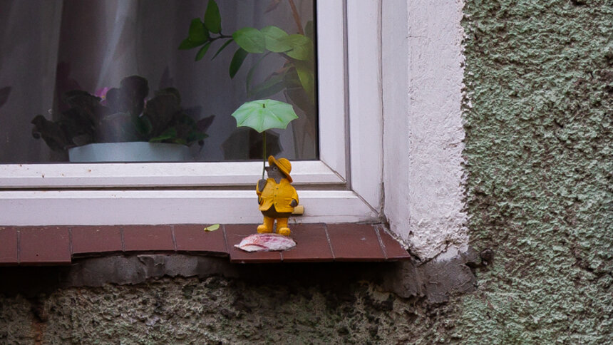 «Галя, у нас замена»: в Калининградской области вместо тумана в понедельник пойдёт дождь - Новости Калининграда | Фото: Александр Подгорчук / Архив «Клопс»