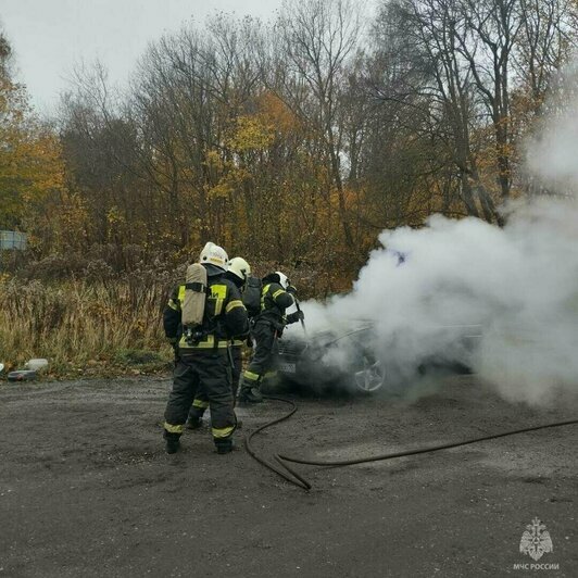 Фаер-шоу на Эпроновской и кит, резвящийся у Балтийска: 8 событий, которые обсуждали в выходные   - Новости Калининграда | Фото: ГУ МЧС по Калининградской области