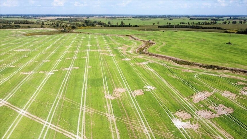 У посёлка Новосельское Полесского округа закончен ремонт закрытой коллекторно-дренажной сети | Фото: агентство мелиорации Калининградской области / «ВКонтакте»