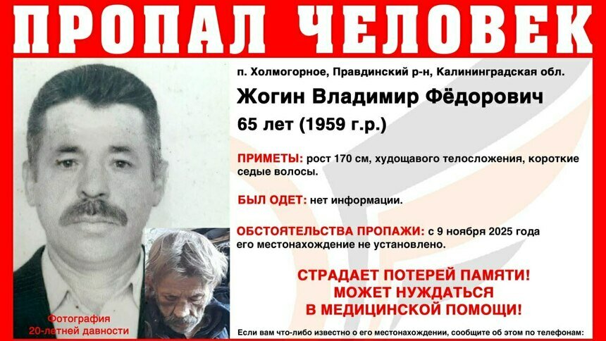 В Калининградской области в посёлке Холмогорное пропал 65-летний мужчина - Новости Калининграда | Фото: ПСО &quot;Запад&quot;