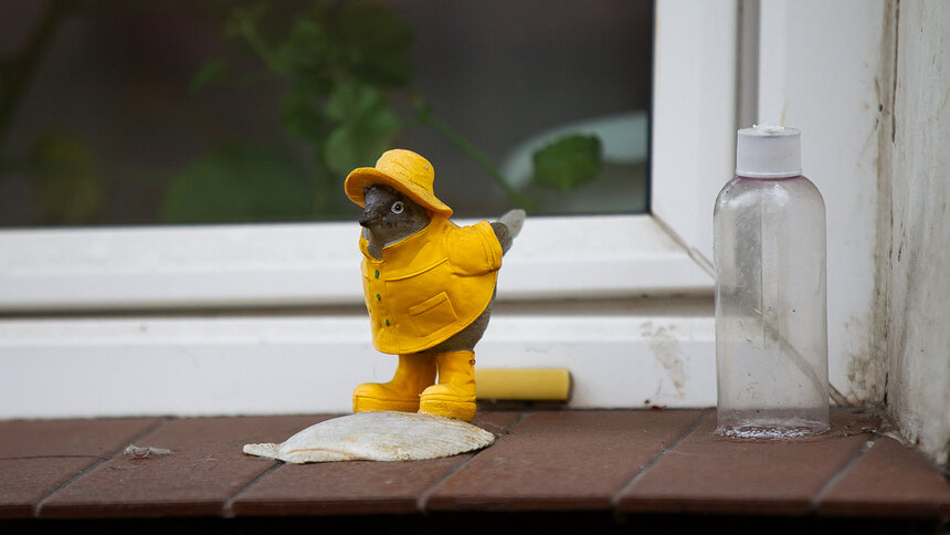 Над всем регионом бессолнечное небо: синоптики рассказали о погоде в Калининграде и области 11 ноября - Новости Калининграда | Фото: Александр Подгорчук / Архив «Клопс»