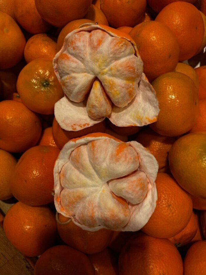 Так выглядят ватные мандарины, тоже аппетитно и волшебно! | Фото: архив героя публикации