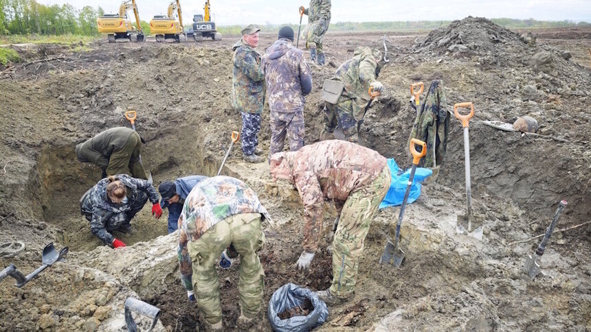 На месте будущей «Белой дюны» в Поваровке продолжают искать останки десяти погибших в войну солдат - Новости Калининграда | Фото: Руслан Хисамов