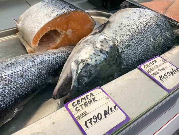 Самя дорогая - семга. | Фото: Александр Мелехов