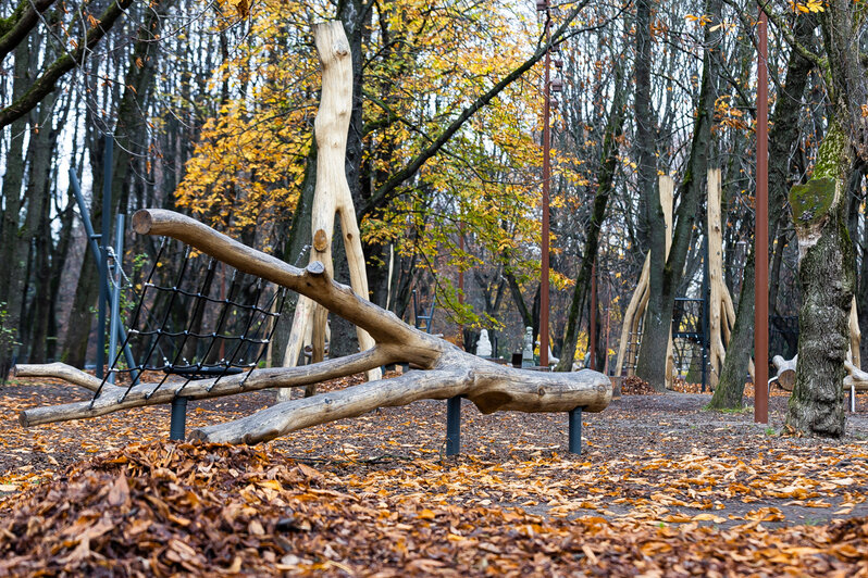 От летающей тарелки до брутальных стволов: 5 необычных детских площадок Калининграда (фоторепортаж)  - Новости Калининграда | Фото: Александр Подгорчук / «Клопс»
