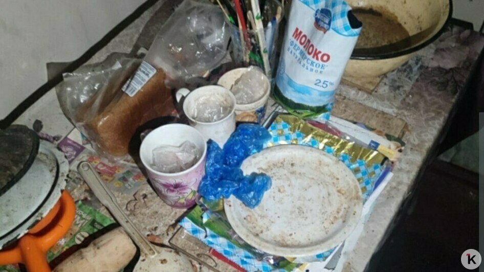 Заброшенный, грязный, голодный: заботу о беспомощном калининградце взяла на себя соседка   - Новости Калининграда | Фото: Ирина