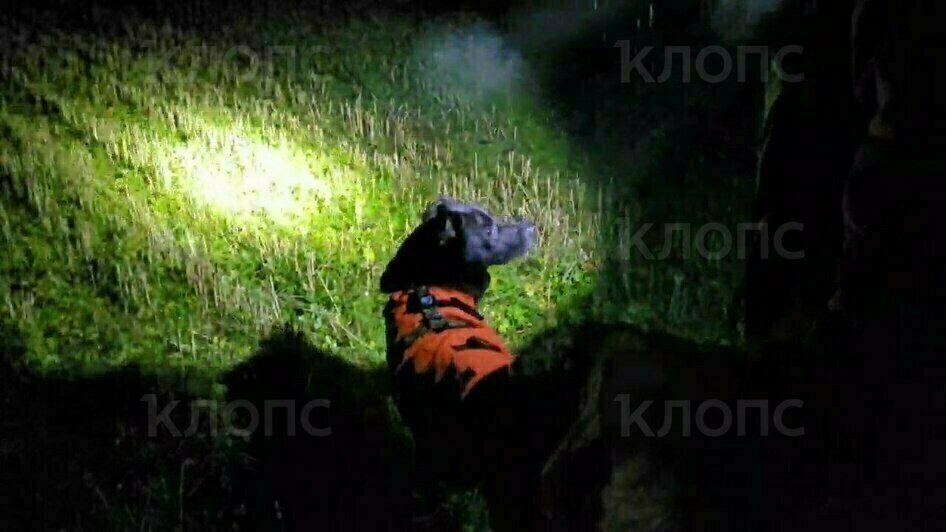 Поиски мужчины продолжаются днём и ночью | Фото: ПСО «Запад»