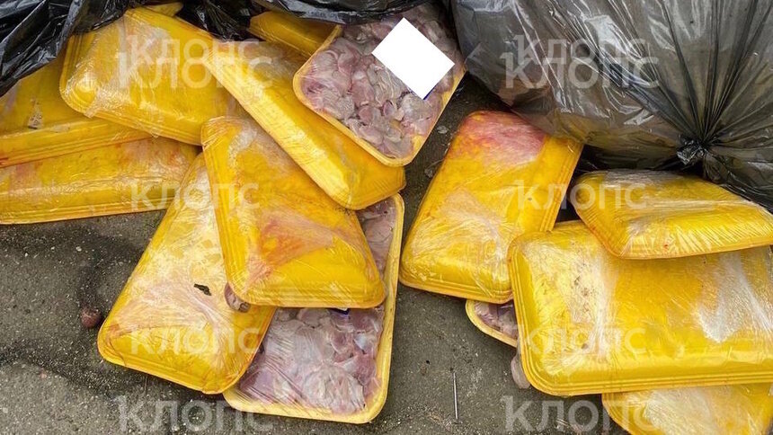 У дома, где жила Дятлова, образовался склад протухших продуктов (видео) - Новости Калининграда | Фото читателя