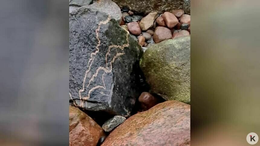 «Глисты динозавров» нашёл калининградский историк на берегу Балтики (фото)   - Новости Калининграда | Фото: Сергей Трифонов